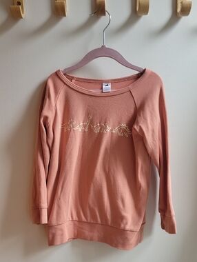 Little & Lively Salmon Color Dinosaur Pullover 5/6years